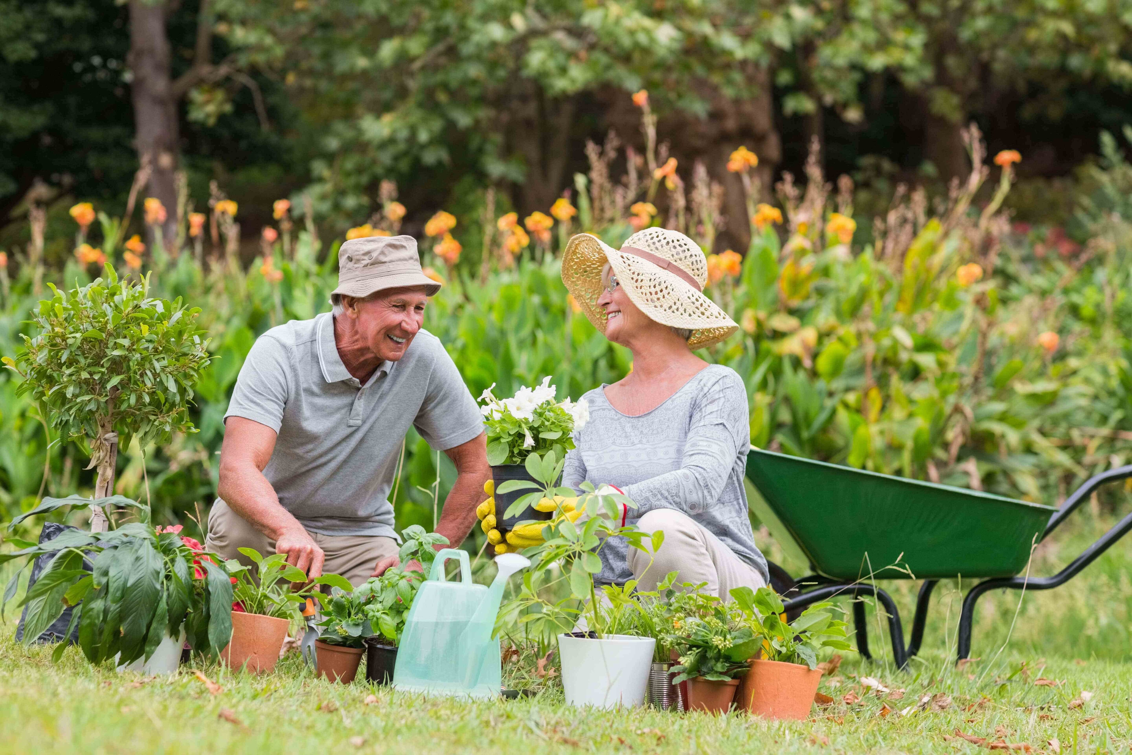 wertvollER: Paar im Garten