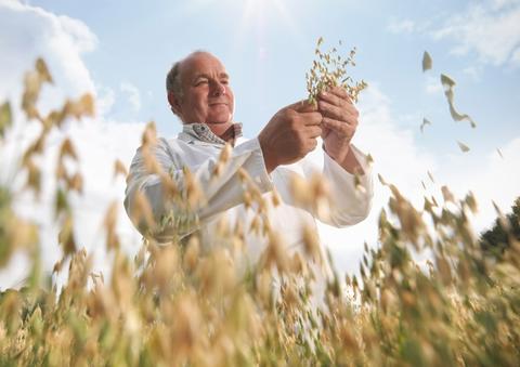 wertvoller: Ernährung mit Hafer Blogbeitrag September
