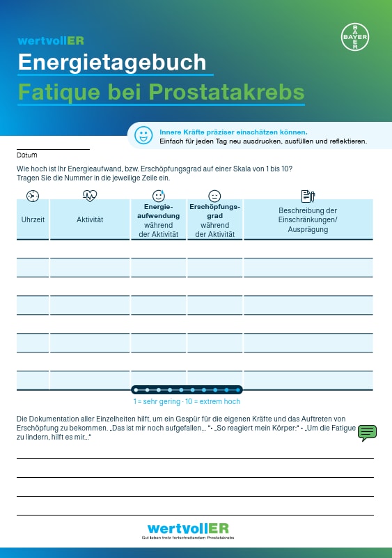Energietagebuch