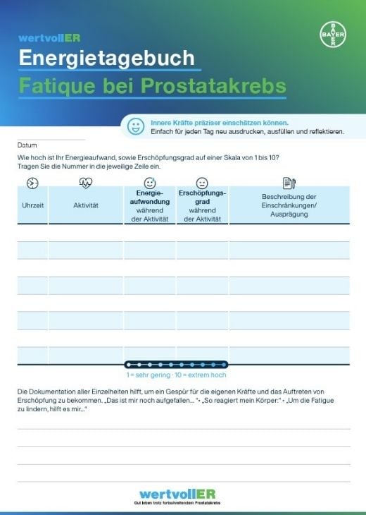 Energietagebuch