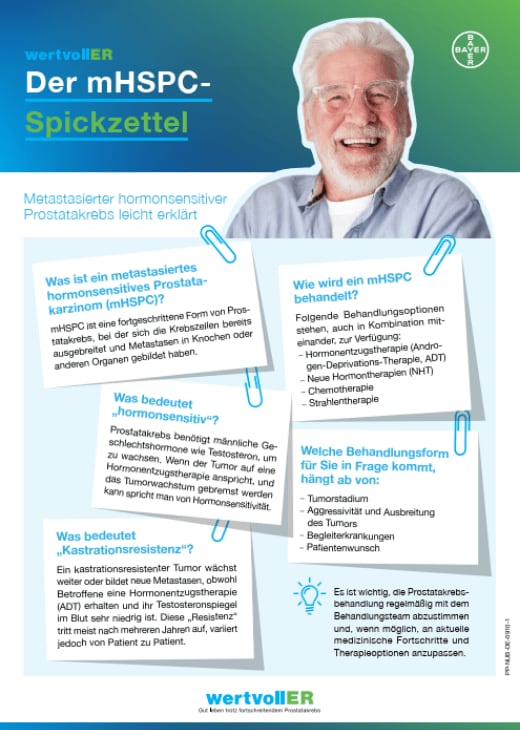 Teaser Cover Downloadmaterial mHSPC Spickzettel