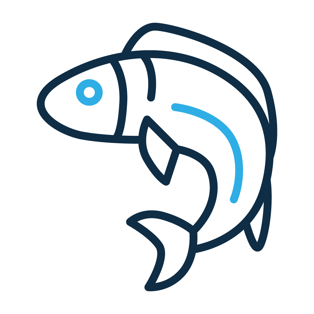 Grafische Darstellung Fisch blau gefärbte Linien 1080x1080px