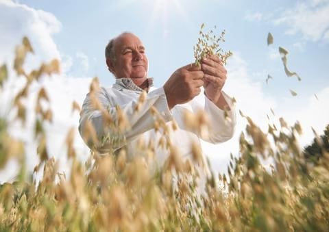 wertvoller: Ernährung mit Hafer Blogbeitrag September